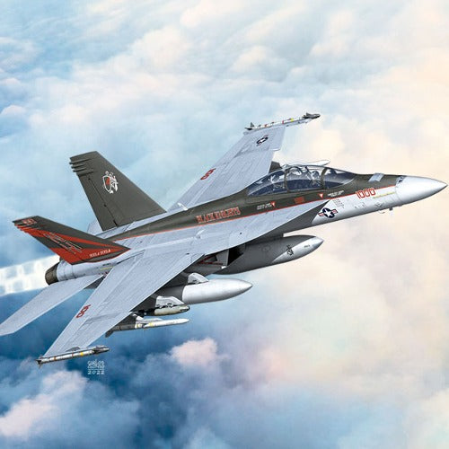 F/A-18F VFA-154 "BLACK KNIGHTS" USN