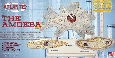 Atlantis Models Amoeba Single Cell STEM Model Kit (formerly Lindberg)