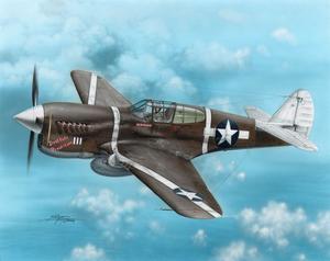 P-40F Warhawk "Guadalcanal Hawks" 1/72