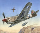P-40 F Warhawk "Short Tails over Africa" 1/72