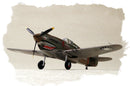 P-40B/C HANK-81A