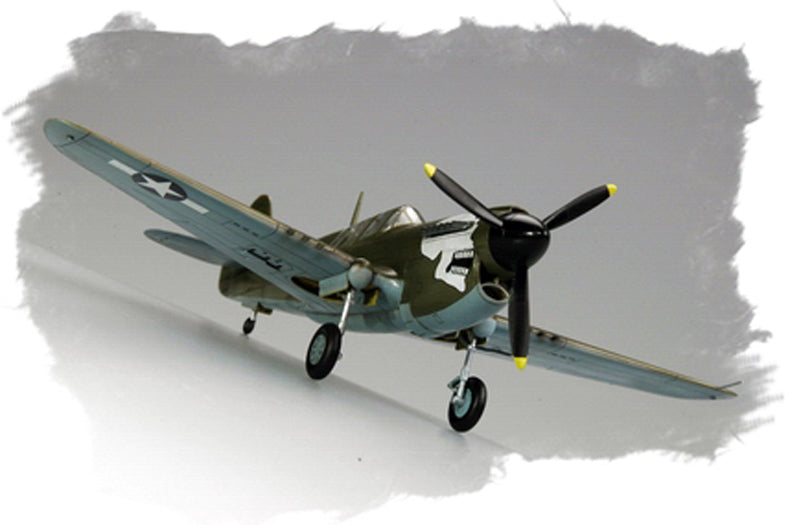 P-40N KITTY HAWK