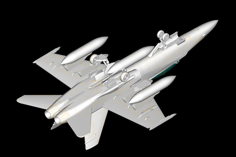 F/A-18D HORNET