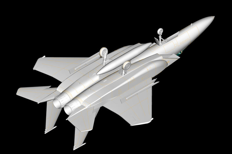 F-15C EAGLE FIGHTER