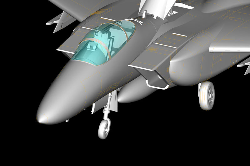 F-15C EAGLE FIGHTER