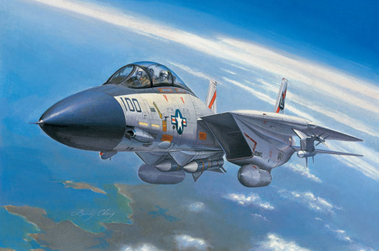 F-14A TOMCAT