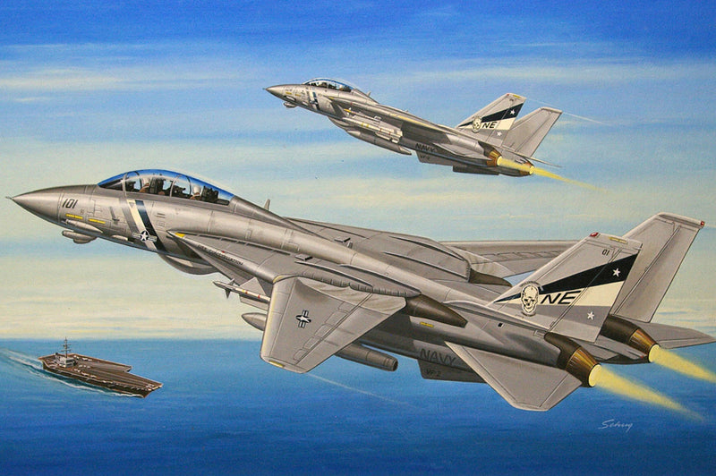 F-14D SUPER TOMCAT