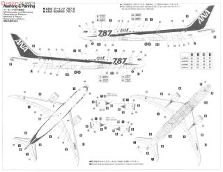 ANA B787-8