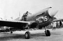 P-40N WARHAWK