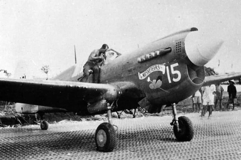 P-40N WARHAWK