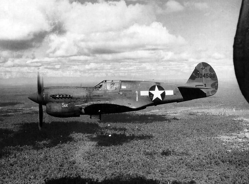 P-40N WARHAWK