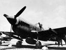 P-40N WARHAWK