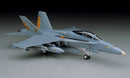 F/A-18D HORNET