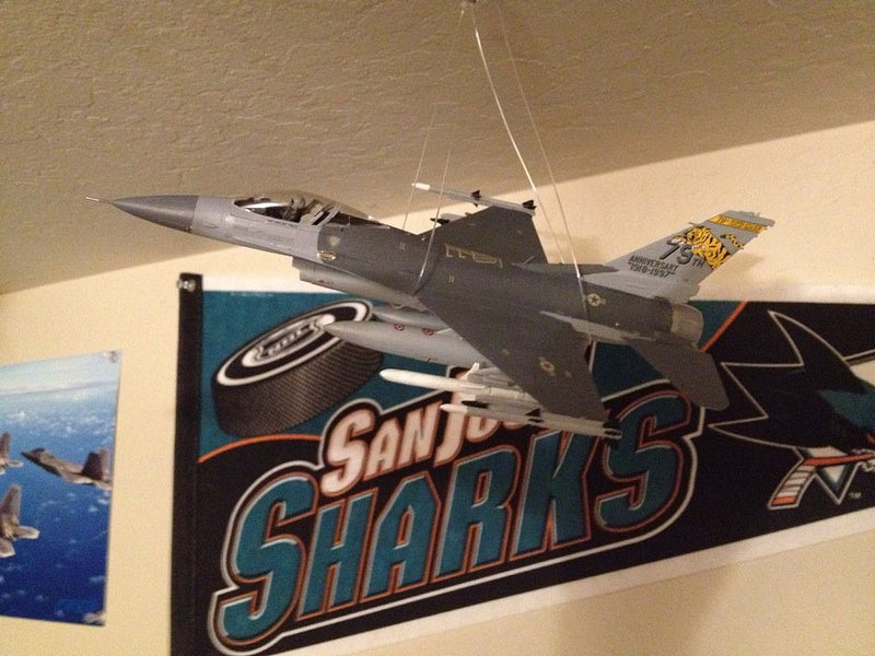 F-16CJ (BLOCK 50) FIGHTING FALCON