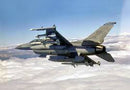 F-16CJ (BLOCK 50) FIGHTING FALCON