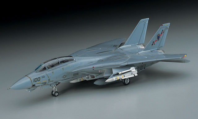 F-14A TOMCAT (Low Visibility)