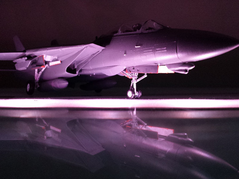 F-14A TOMCAT (Low Visibility)