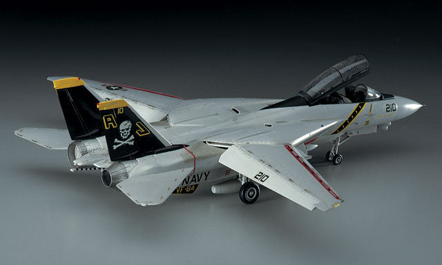 F-14A TOMCAT (High Visibility)