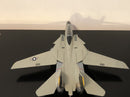 F-14A TOMCAT (High Visibility)