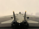 F-14A TOMCAT (High Visibility)