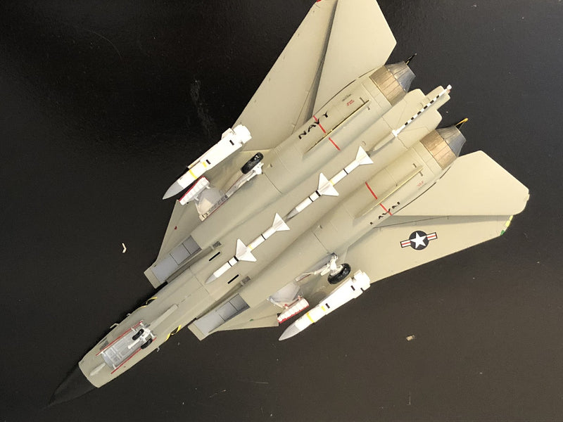 F-14A TOMCAT (High Visibility)
