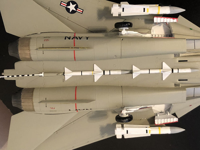 F-14A TOMCAT (High Visibility)
