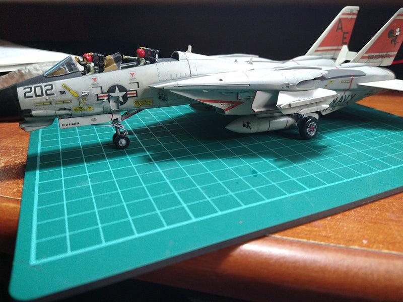F-14A TOMCAT (ATLANTIC F.S.)