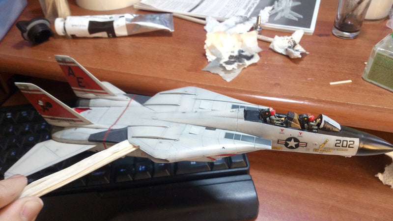 F-14A TOMCAT (ATLANTIC F.S.)