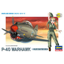 EGG PLANE P-40 WARHAWK