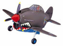 EGG PLANE P-40 WARHAWK