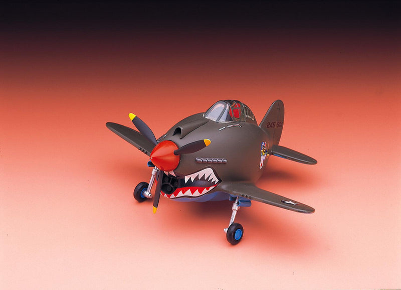 EGG PLANE P-40 WARHAWK