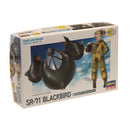 EGG PLANE SR-71 BLACKBIRD