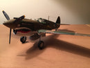 P-40E WARHAWK