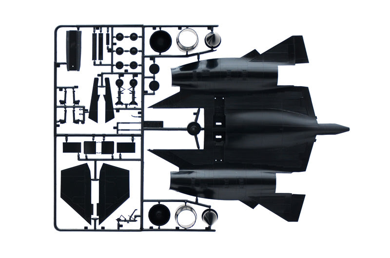 SR-71 BLACK BIRD