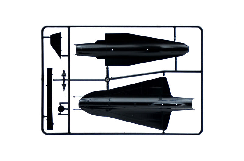 SR-71 BLACK BIRD