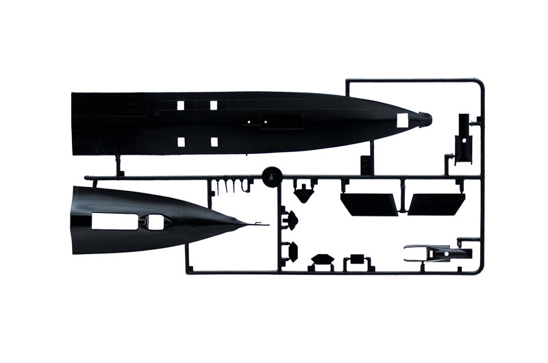 SR-71 BLACK BIRD