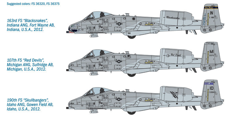 A-10C "BLACKSNAKES"