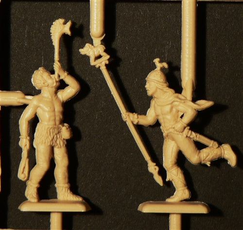 GAULS WARRIORS