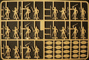 GAULS WARRIORS