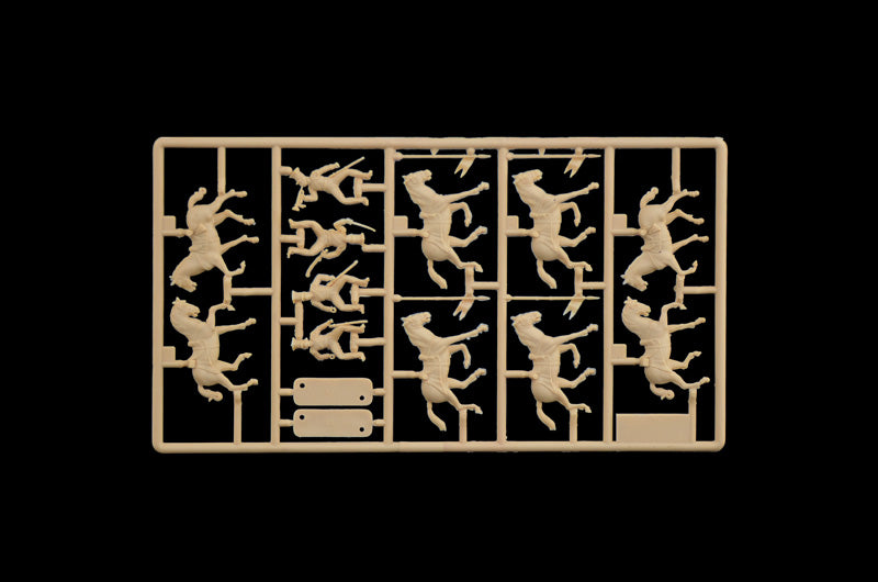 NAPOLEONIC WARS: POLISH LANCERS