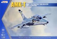 AMX-T/1B Two-seater Fighter