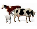 Domestic Animals (2 Cows & 1 Goat)