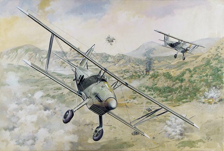 ROD427 - 1/48 Roden Arado Ar68E Aircraft
