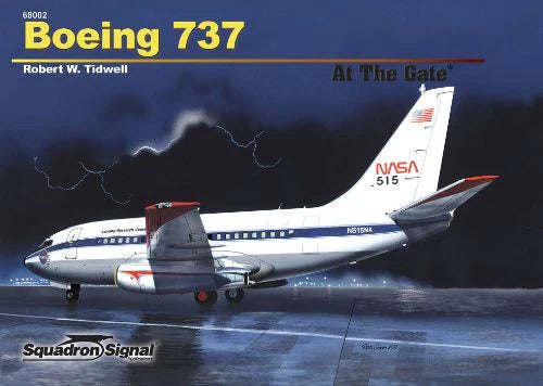 Boeing 737 (At The Gate No. 2)