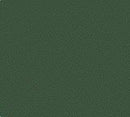 TS-2 Dark Green, 100ml Spray Lacquer Paint