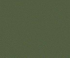 TS-5 Olive Drab, 100ml Spray Lacquer Paint