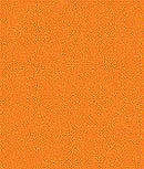 TS-12 Orange, 100ml Spray Lacquer Paint