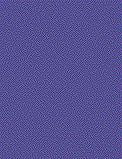 TS-24 Purple, 100ml Spray Lacquer Paint