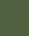 TS-28 Olive Drab, 100ml Spray Lacquer Paint
