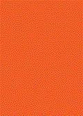 TS-31 Bright Orange, 100ml Spray Lacquer Paint